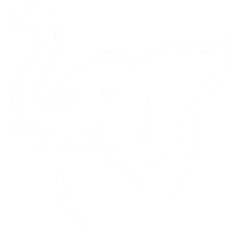 JCRV Elephant